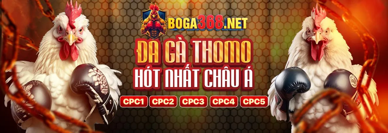 Giao diện cá cược trực tiếp với các trận đấu đang diễn ra và tỷ lệ cược động